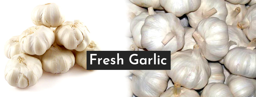 Fresh Garlic  In Balrampur