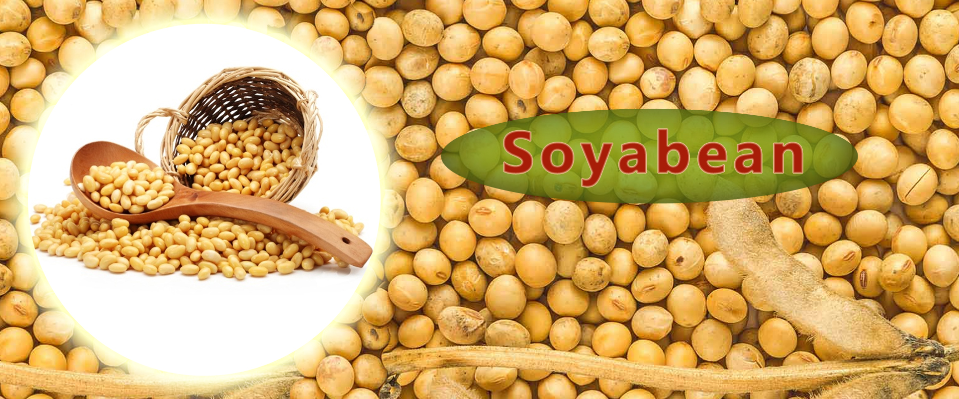 Soyabean In Sheohar